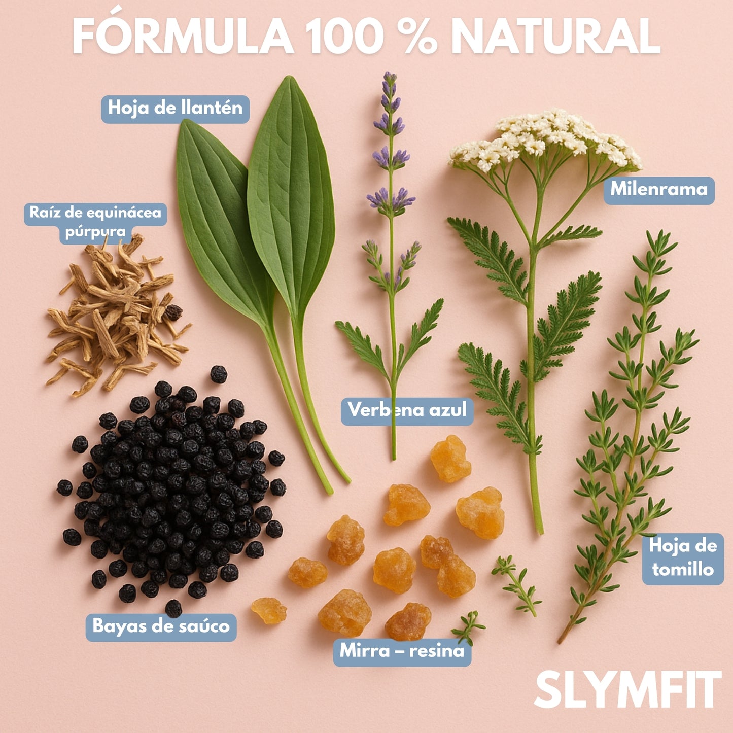 SLYMFIT | Weightloss Elixir.