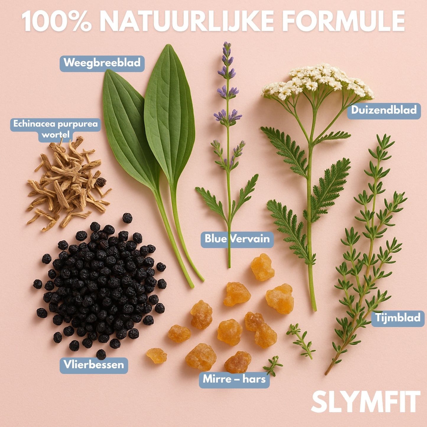 SLYMFIT | Puffy Face Detox Elixir